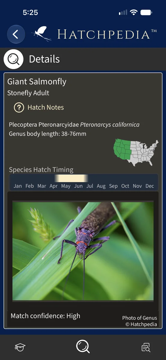 Species details with size, taxonomy, range, hatch timing, and a photograph.