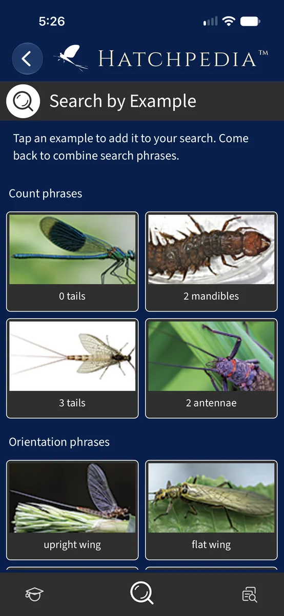 Search by Example screen with tappable insect characteristics.