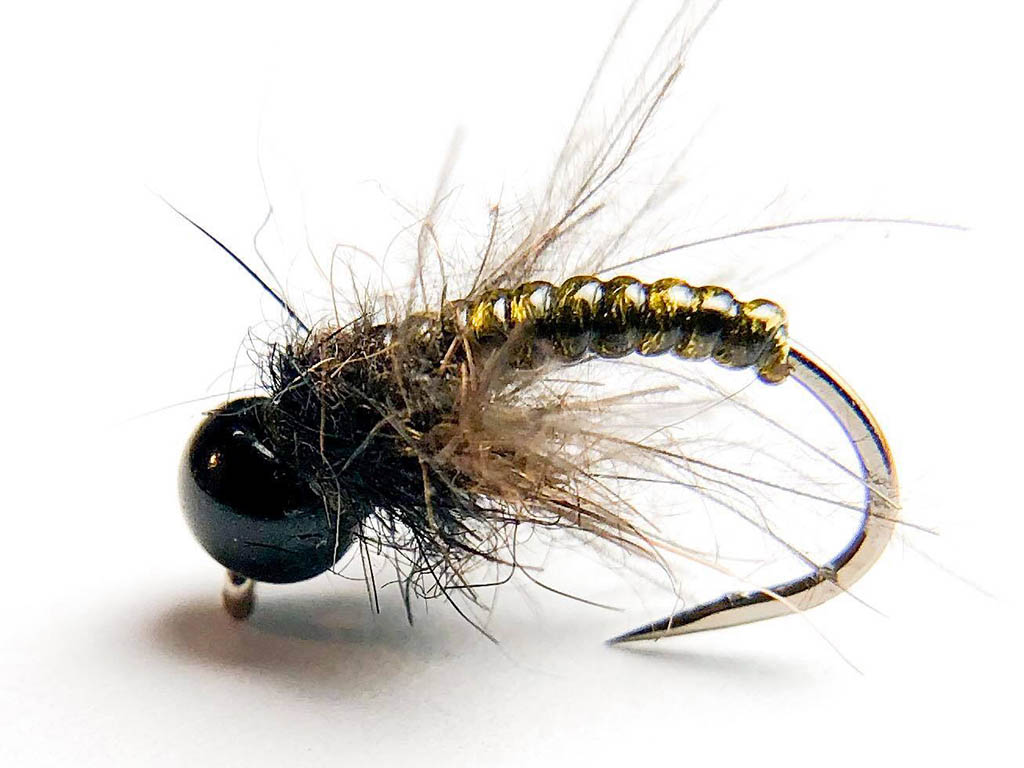 D-rib caddis pupa.