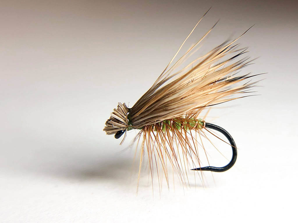 Olive elkhair caddis.