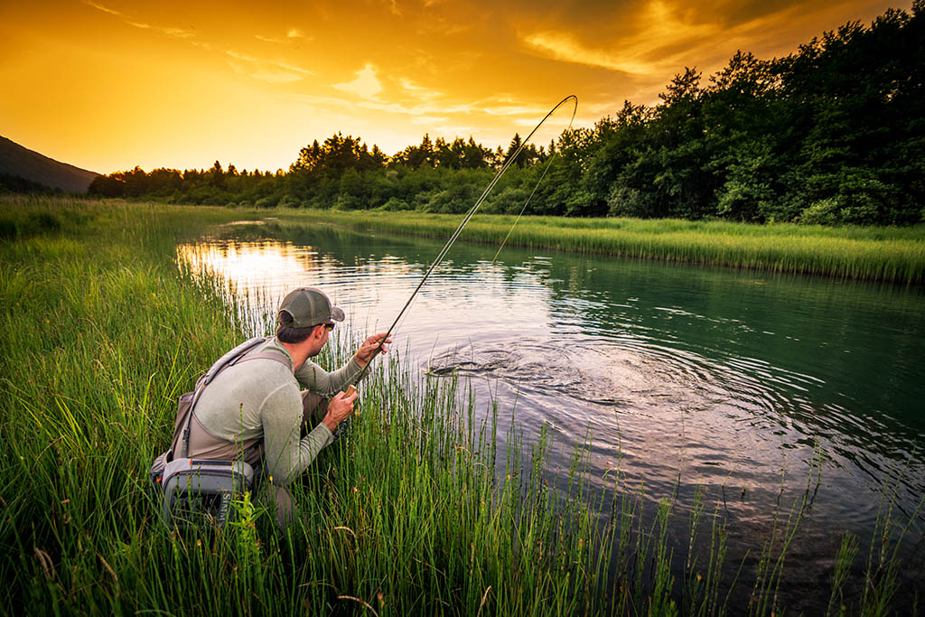 Man landing fish at sunset.