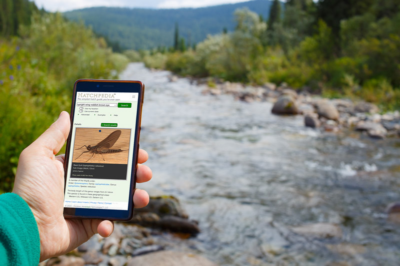 Hatchpedia being used in the wild on a trout stream.
